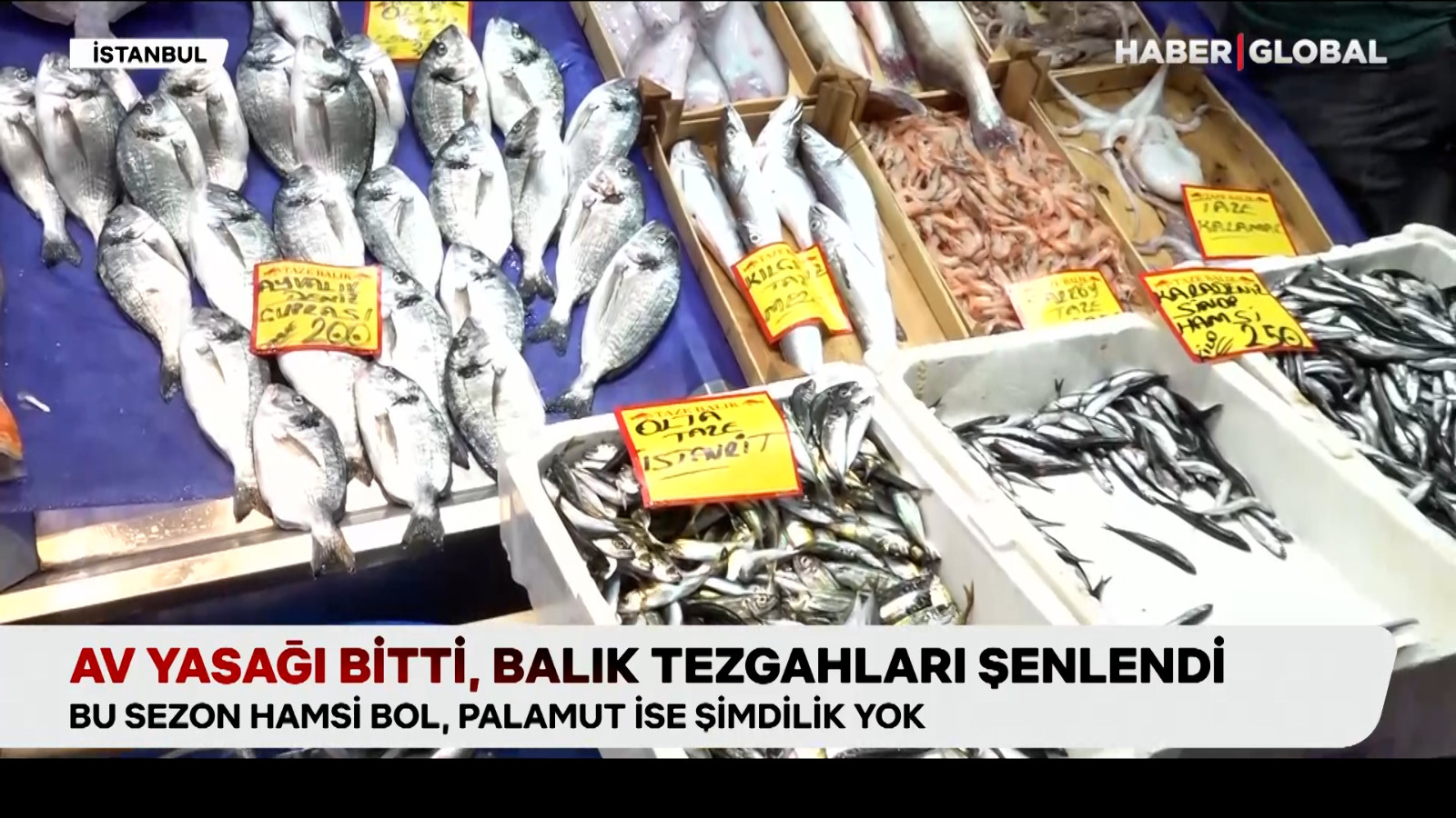 Av yasağı sona erdi, balık tezgahları şenlendi