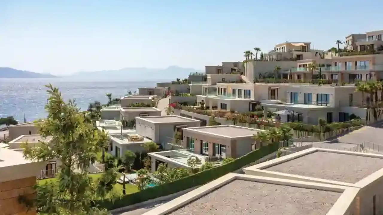 ‘Mavi arya’da ayrıcalıklı yaşamın en güzel zamanı
